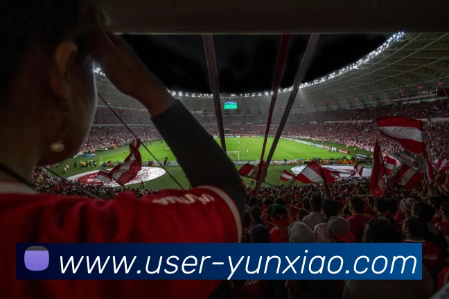 多媒体互动体验